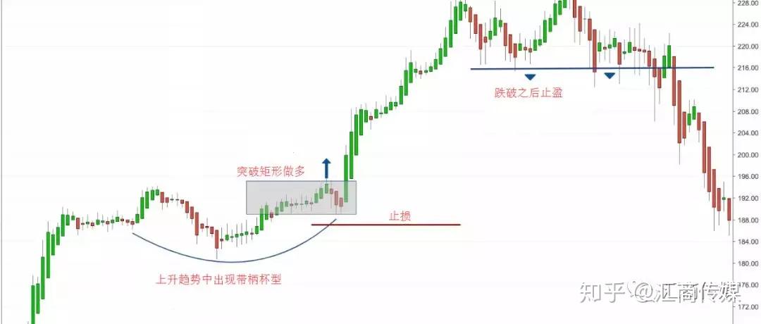 我市启用驾培公共服务平台